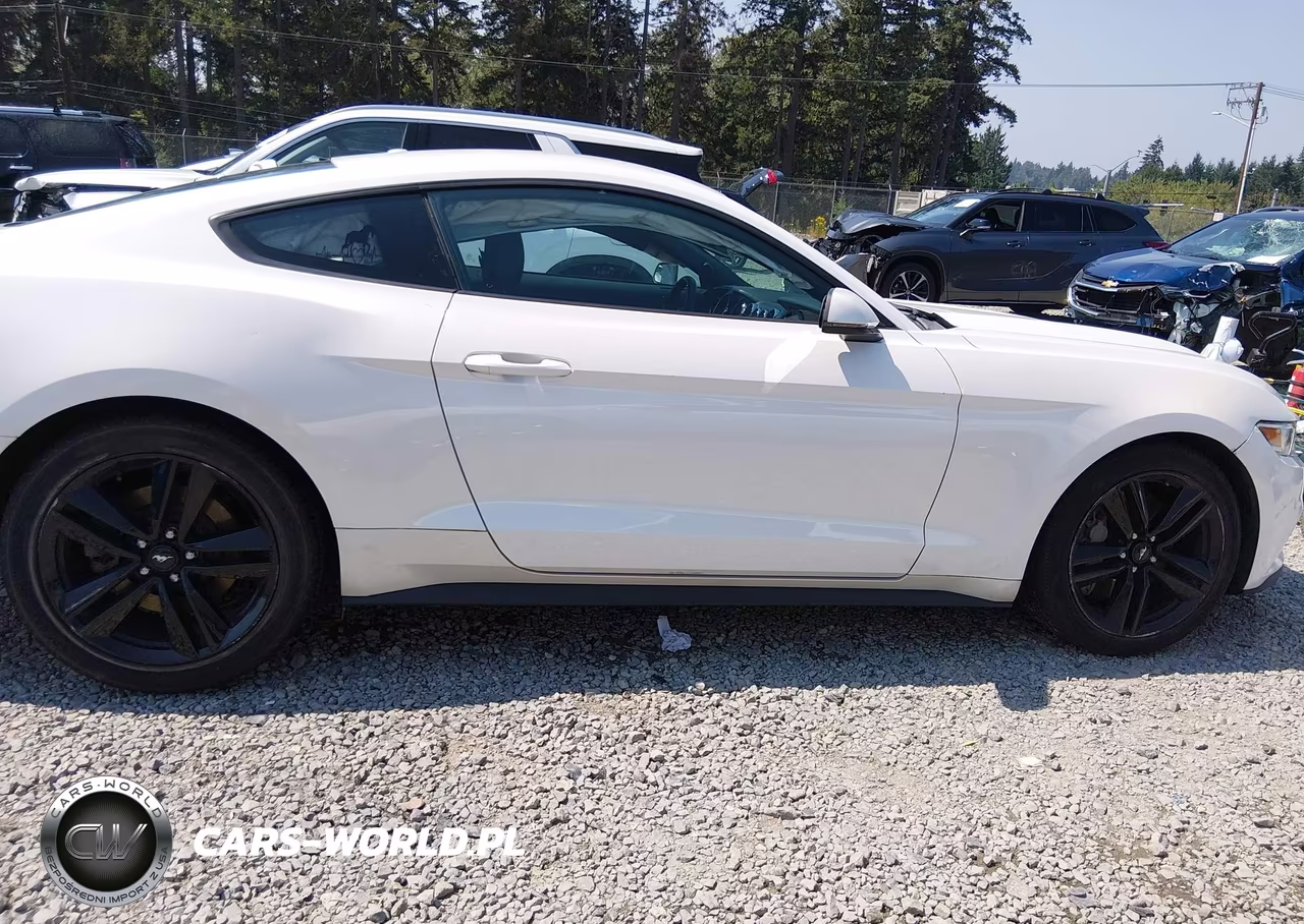 2017 Ford Mustang Ecoboost Premium VIN:1FA6P8THXH5308450 - 13