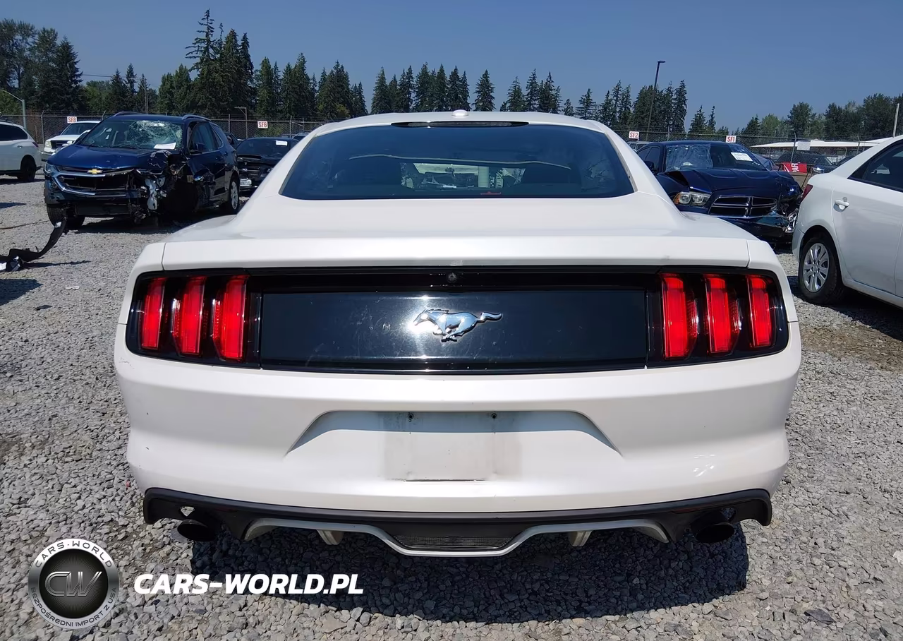2017 Ford Mustang Ecoboost Premium VIN:1FA6P8THXH5308450 - 16