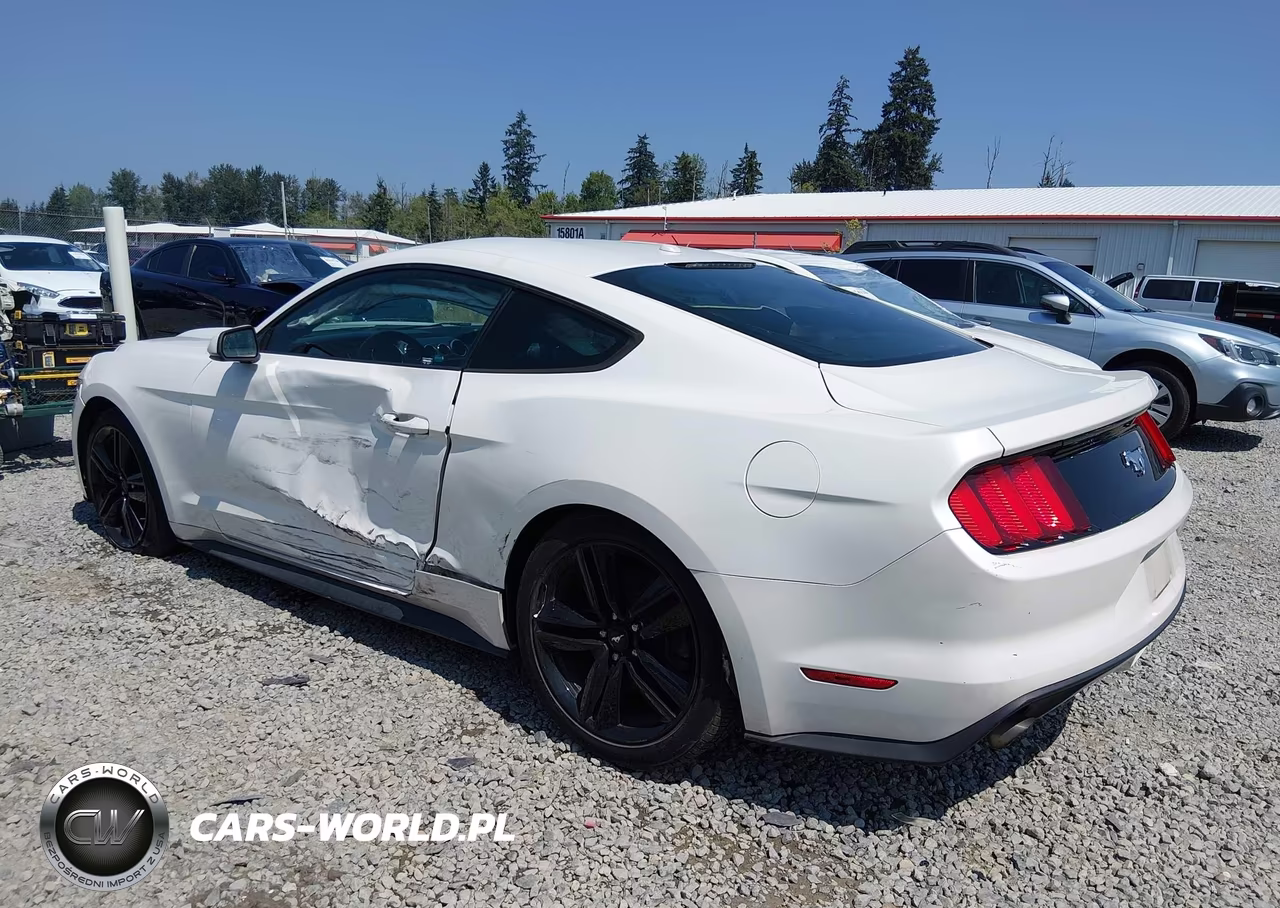 2017 Ford Mustang Ecoboost Premium VIN:1FA6P8THXH5308450 - 3