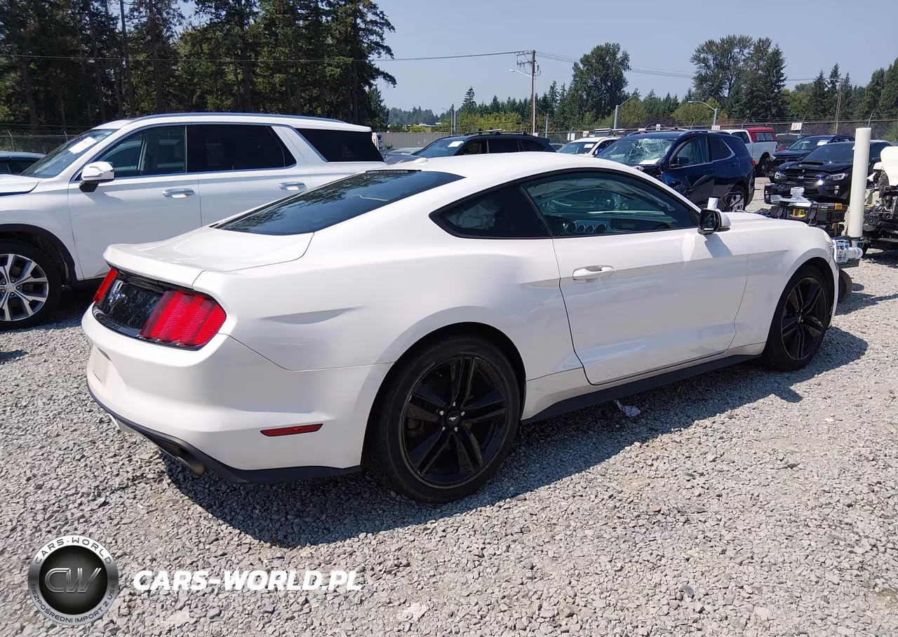 2017 Ford Mustang Ecoboost Premium VIN:1FA6P8THXH5308450 - 4