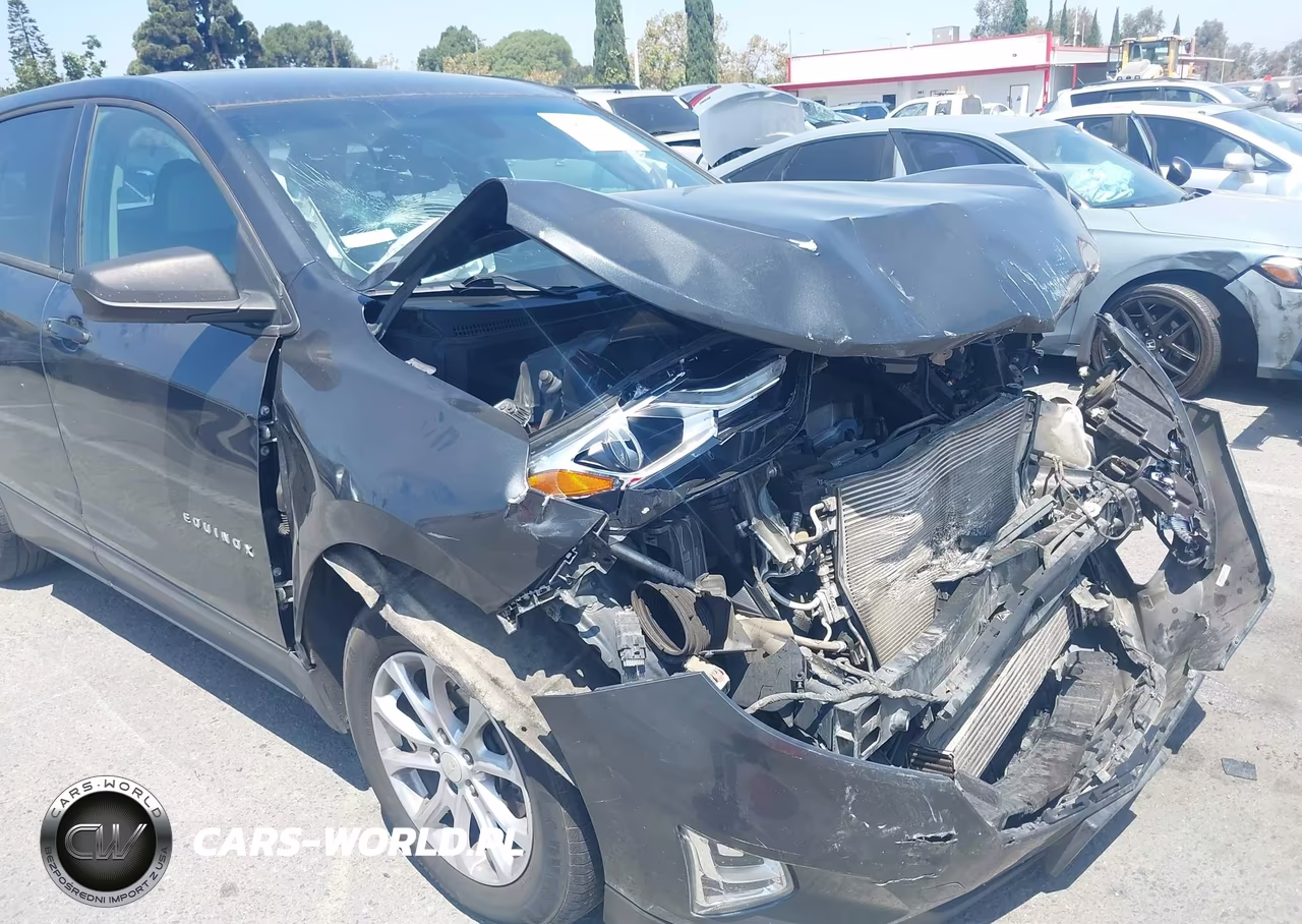 2018 Chevrolet Equinox Ls VIN:3GNAXHEV8JL265327 - 11