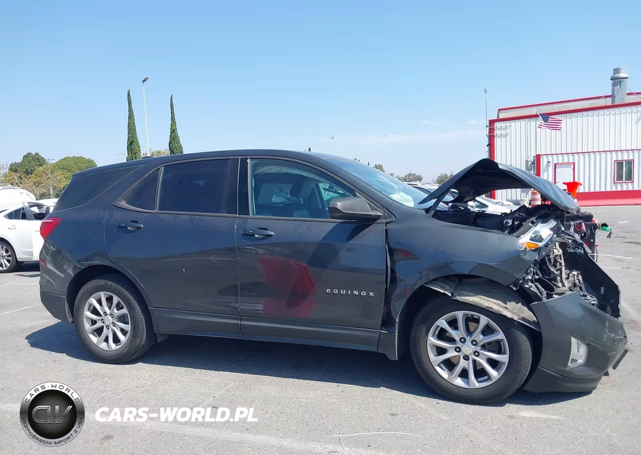 2018 Chevrolet Equinox Ls VIN:3GNAXHEV8JL265327 - 13