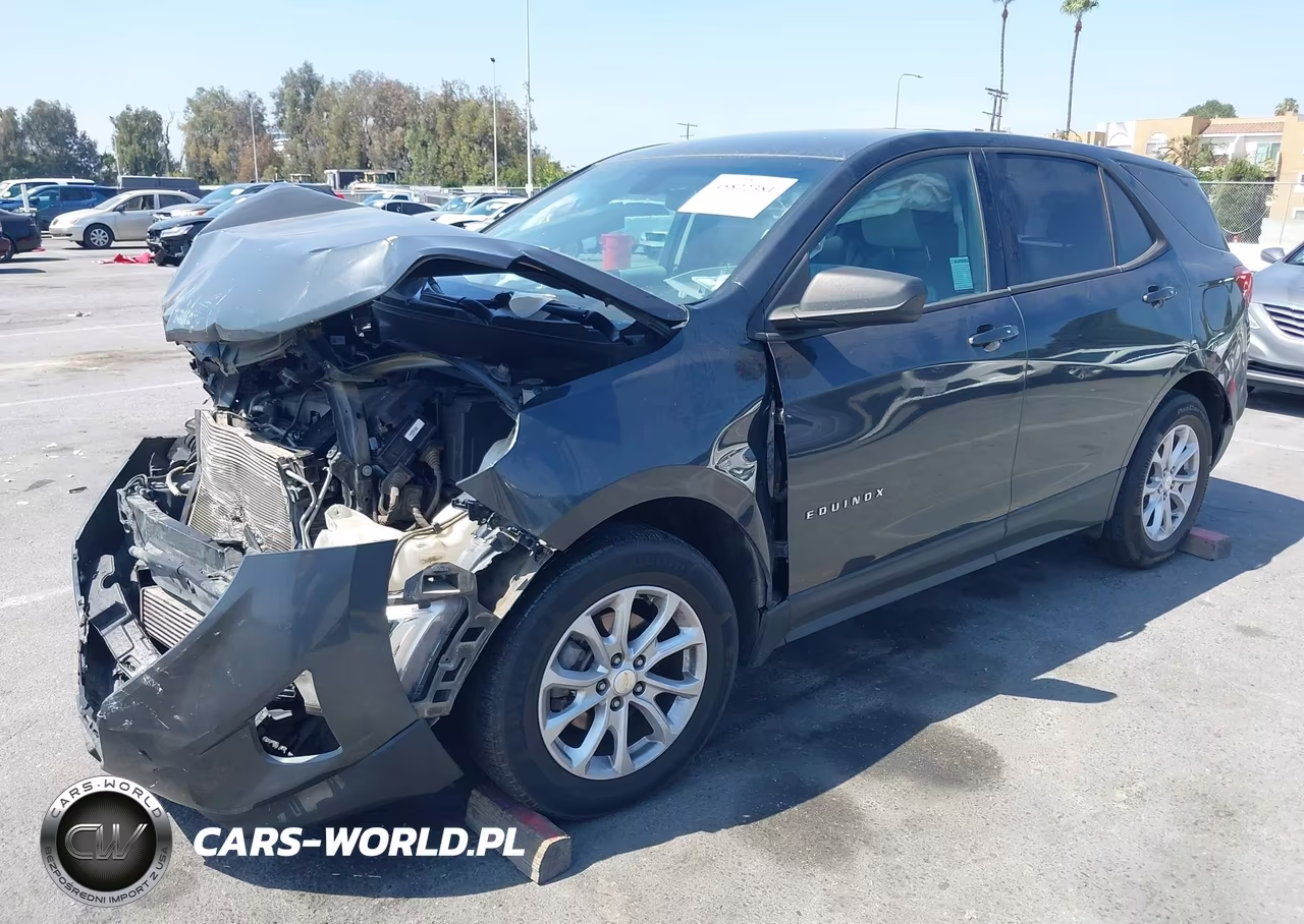 2018 Chevrolet Equinox Ls VIN:3GNAXHEV8JL265327 - 2