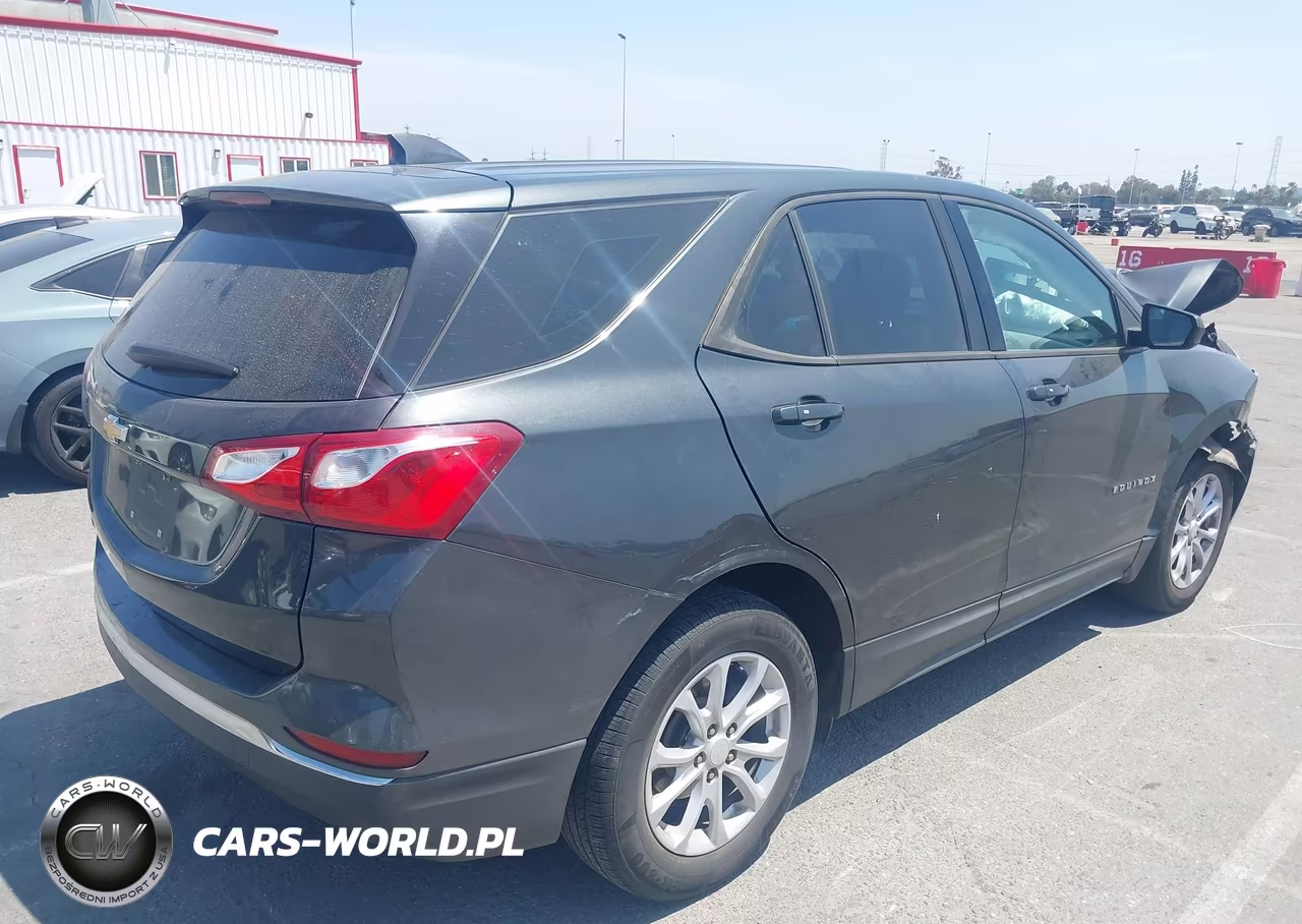 2018 Chevrolet Equinox Ls VIN:3GNAXHEV8JL265327 - 4
