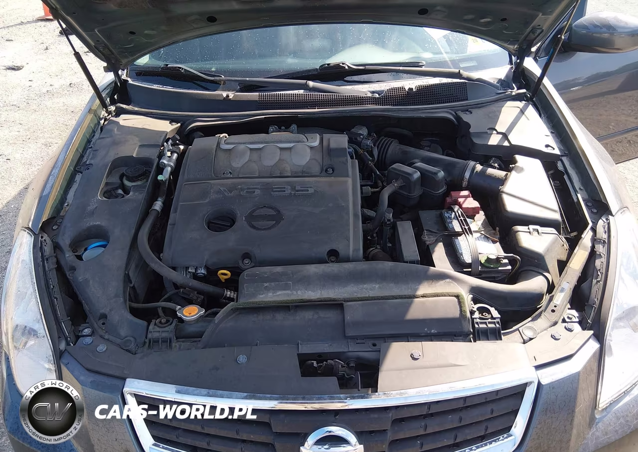 2007 Nissan Maxima 3.5 Se VIN:1N4BA41E37C863266 - 10