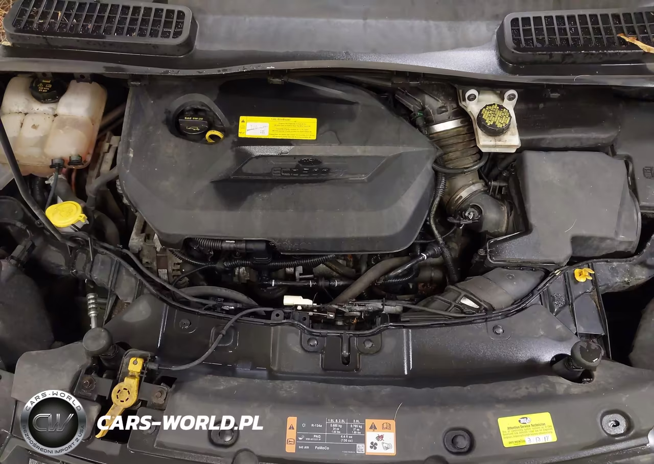 2015 Ford Escape Se VIN:1FMCU9GX2FUC09939 - 10