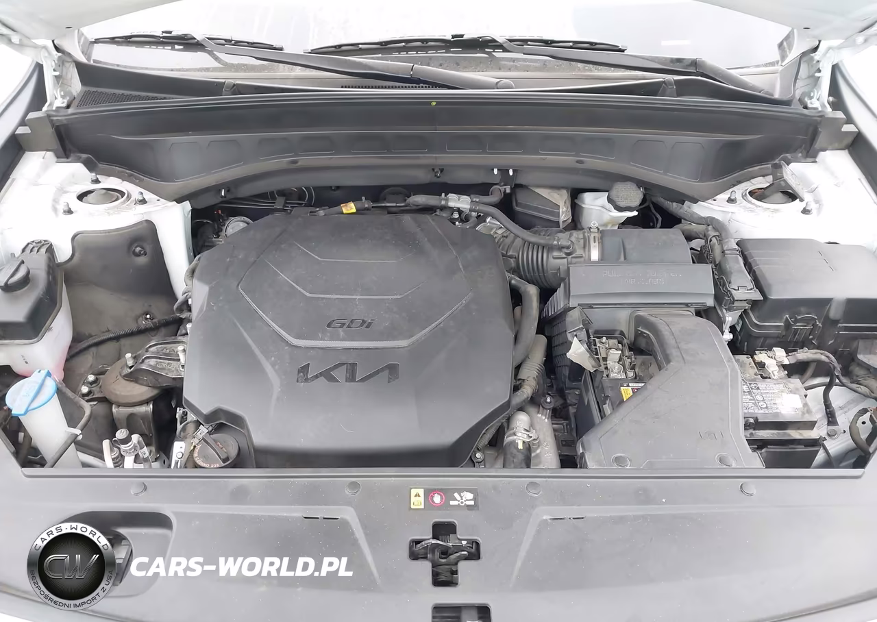 2024 Kia Telluride S VIN:5XYP64GCXRG494475 - 10