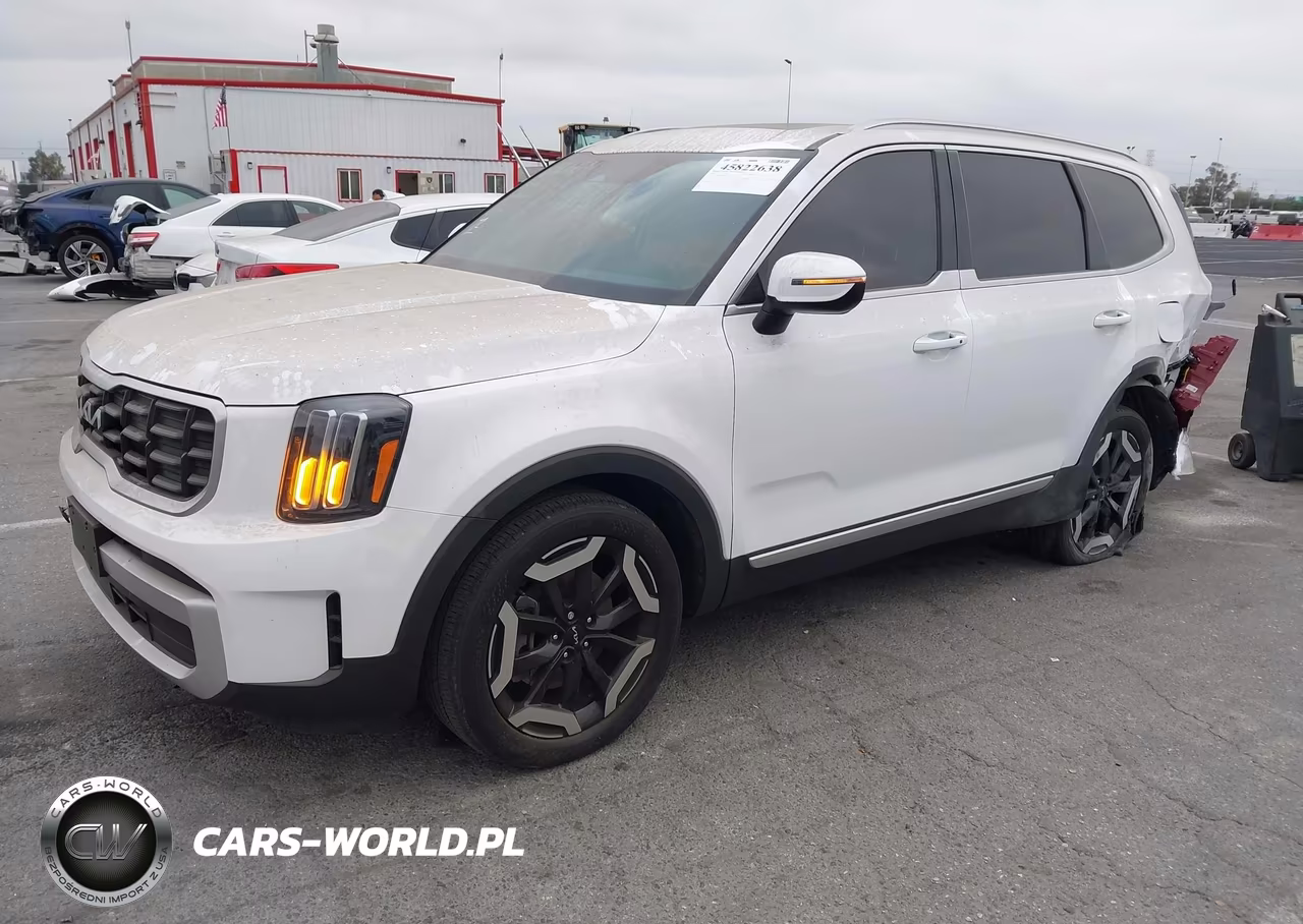 2024 Kia Telluride S VIN:5XYP64GCXRG494475 - 2