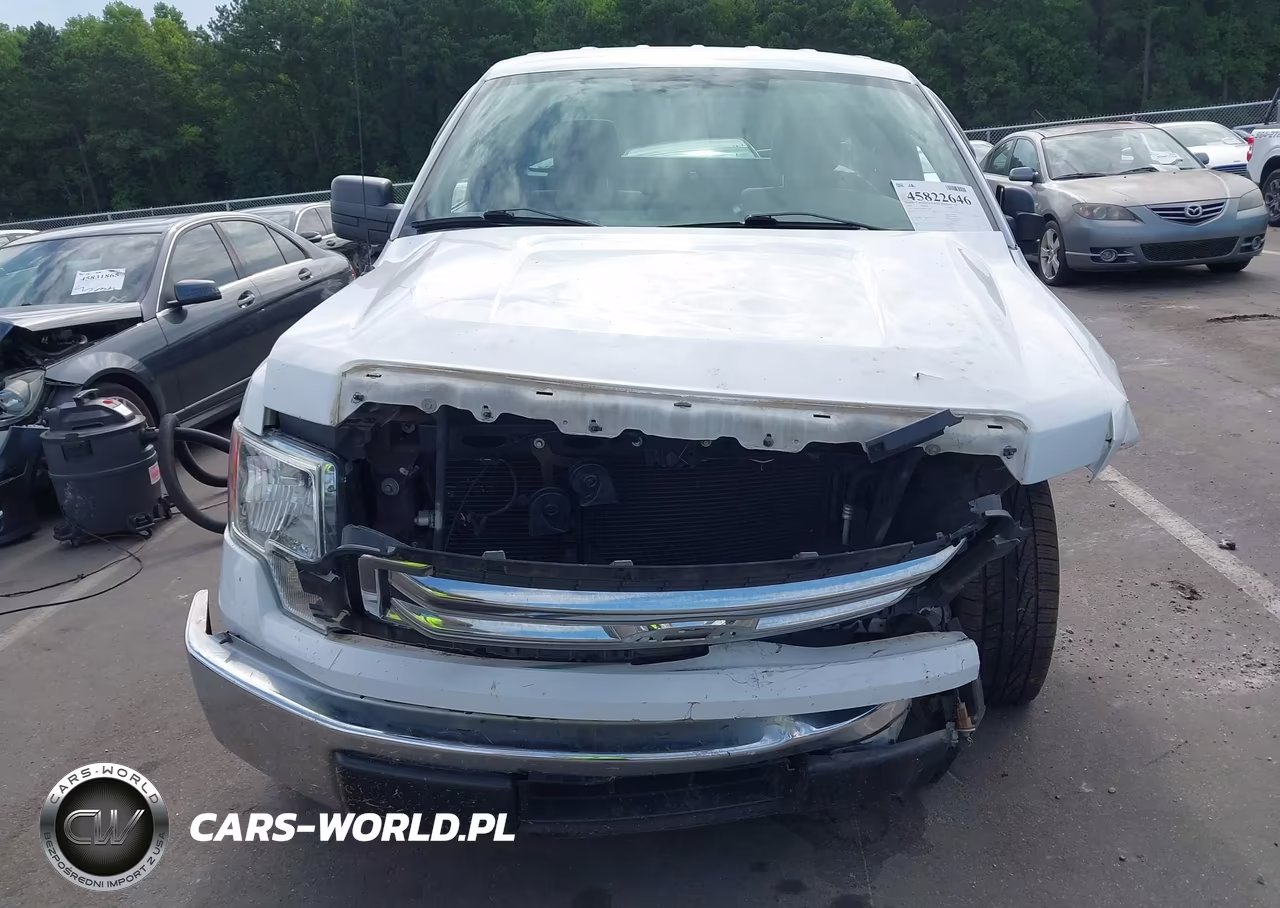 2014 Ford F-150 Xl VIN:1FTNF1CF6EKE27382 - 12