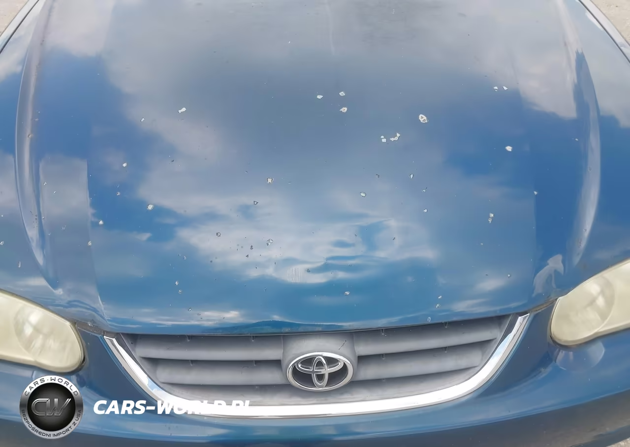 2002 Toyota Corolla Le VIN:2T1BR18E32C564688 - 6