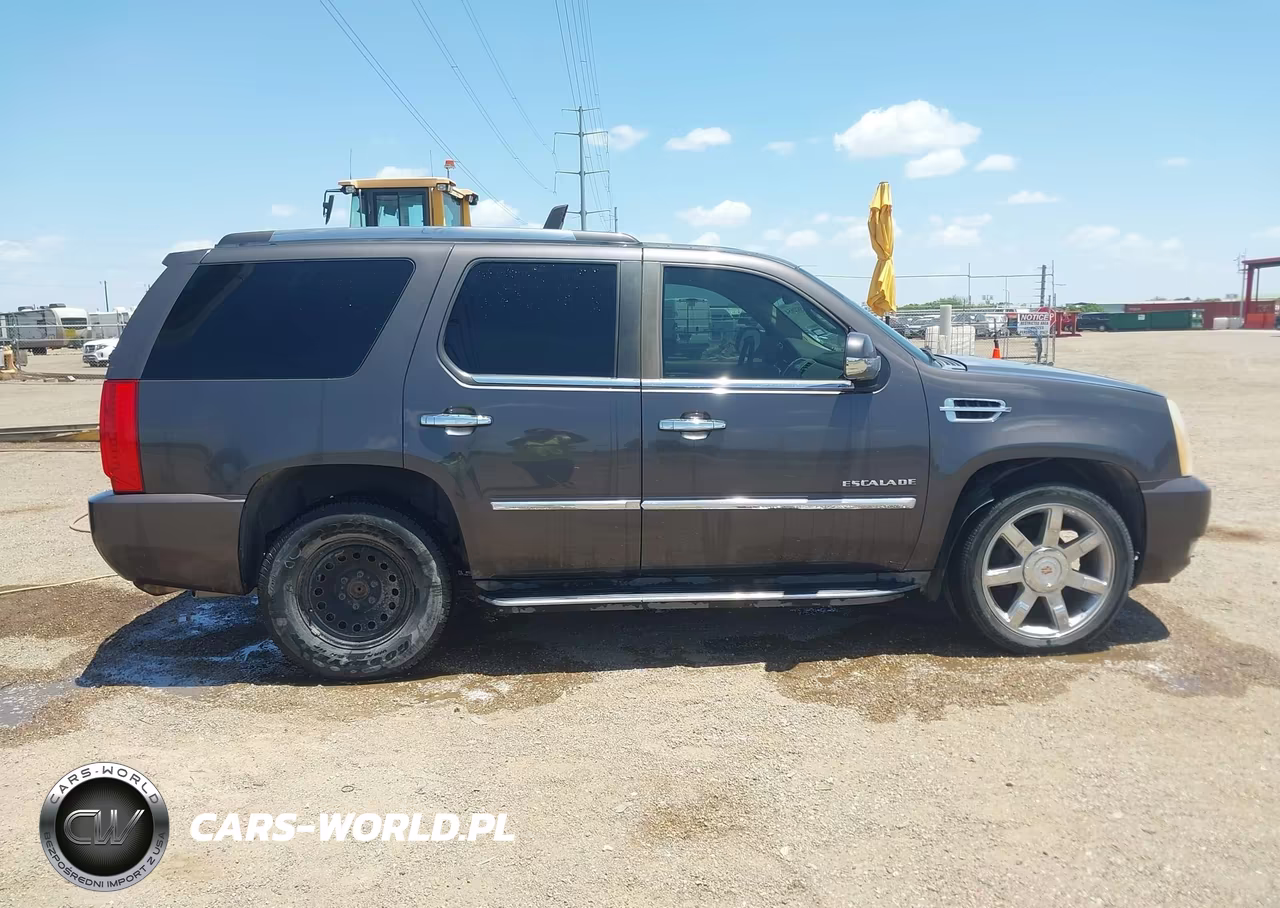 2010 Cadillac Escalade Luxury VIN:1GYUKBEF0AR198588 - 13