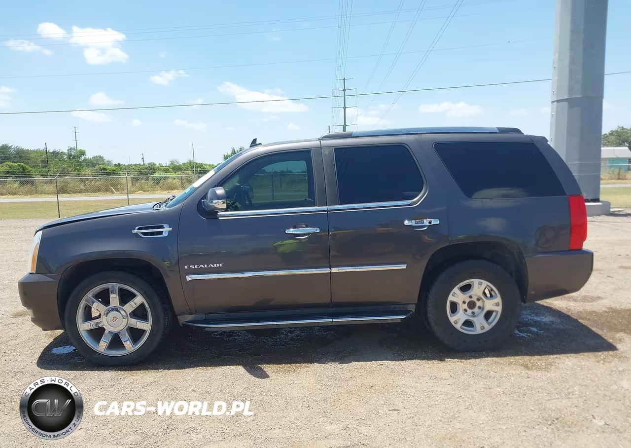 2010 Cadillac Escalade Luxury VIN:1GYUKBEF0AR198588 - 14