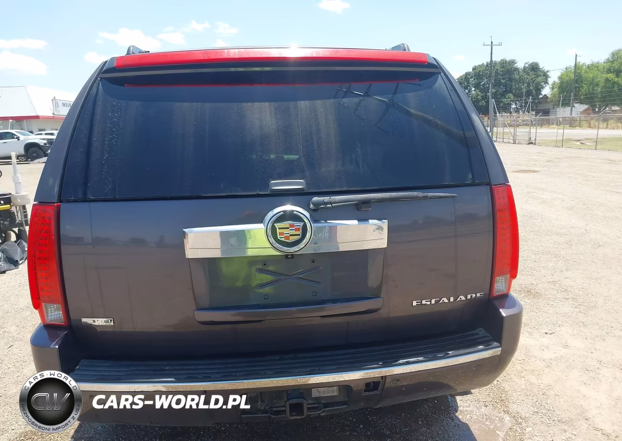 2010 Cadillac Escalade Luxury VIN:1GYUKBEF0AR198588 - 16