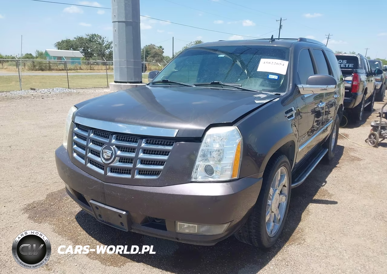2010 Cadillac Escalade Luxury VIN:1GYUKBEF0AR198588 - 2