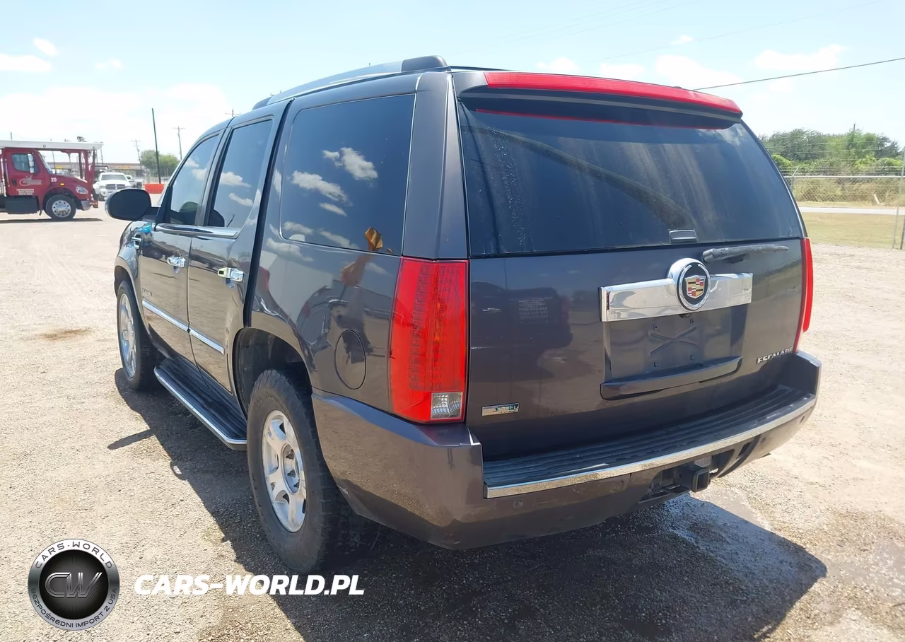 2010 Cadillac Escalade Luxury VIN:1GYUKBEF0AR198588 - 3