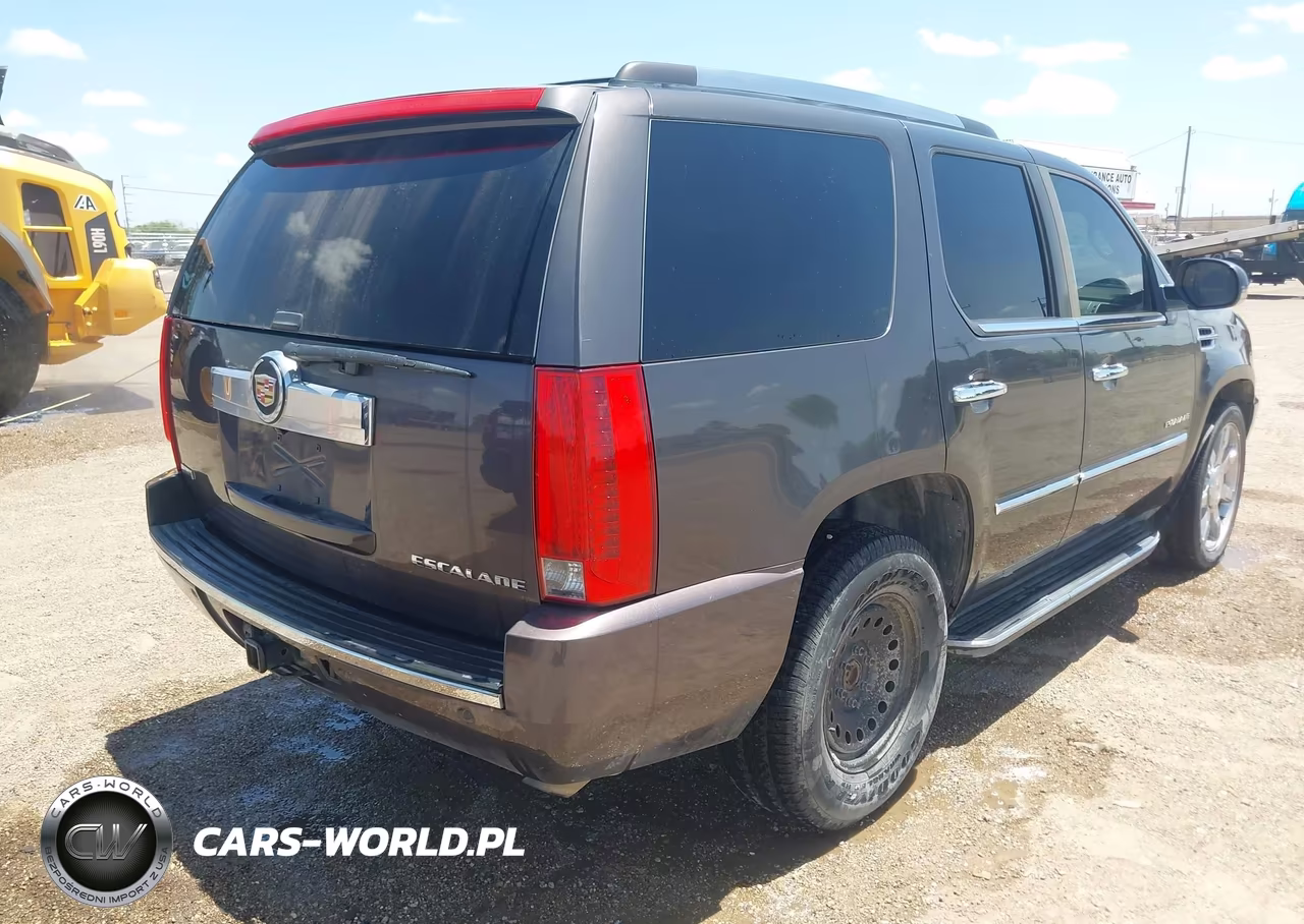 2010 Cadillac Escalade Luxury VIN:1GYUKBEF0AR198588 - 4