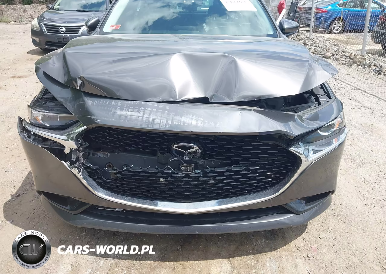 2020 Mazda Mazda3 Preferred Package VIN:3MZBPBDM5LM135096 - 6