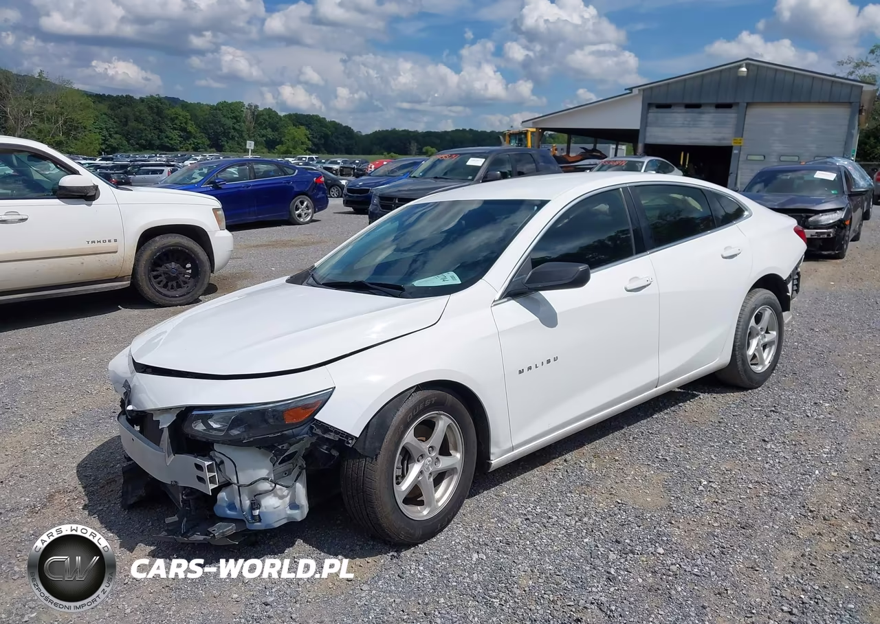2016 Chevrolet Malibu 1Fl VIN:1G1ZC5ST4GF306007 - 2