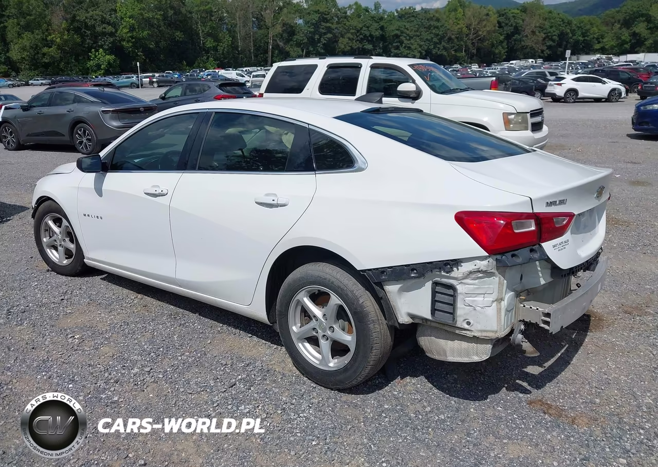 2016 Chevrolet Malibu 1Fl VIN:1G1ZC5ST4GF306007 - 3