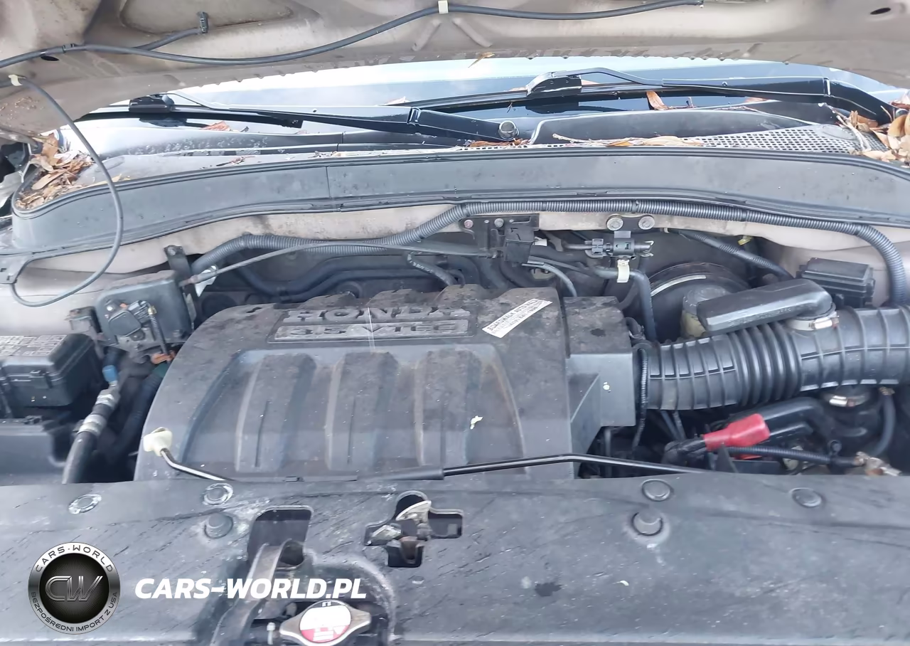 2006 Honda Pilot Lx VIN:5FNYF181X6B017452 - 10