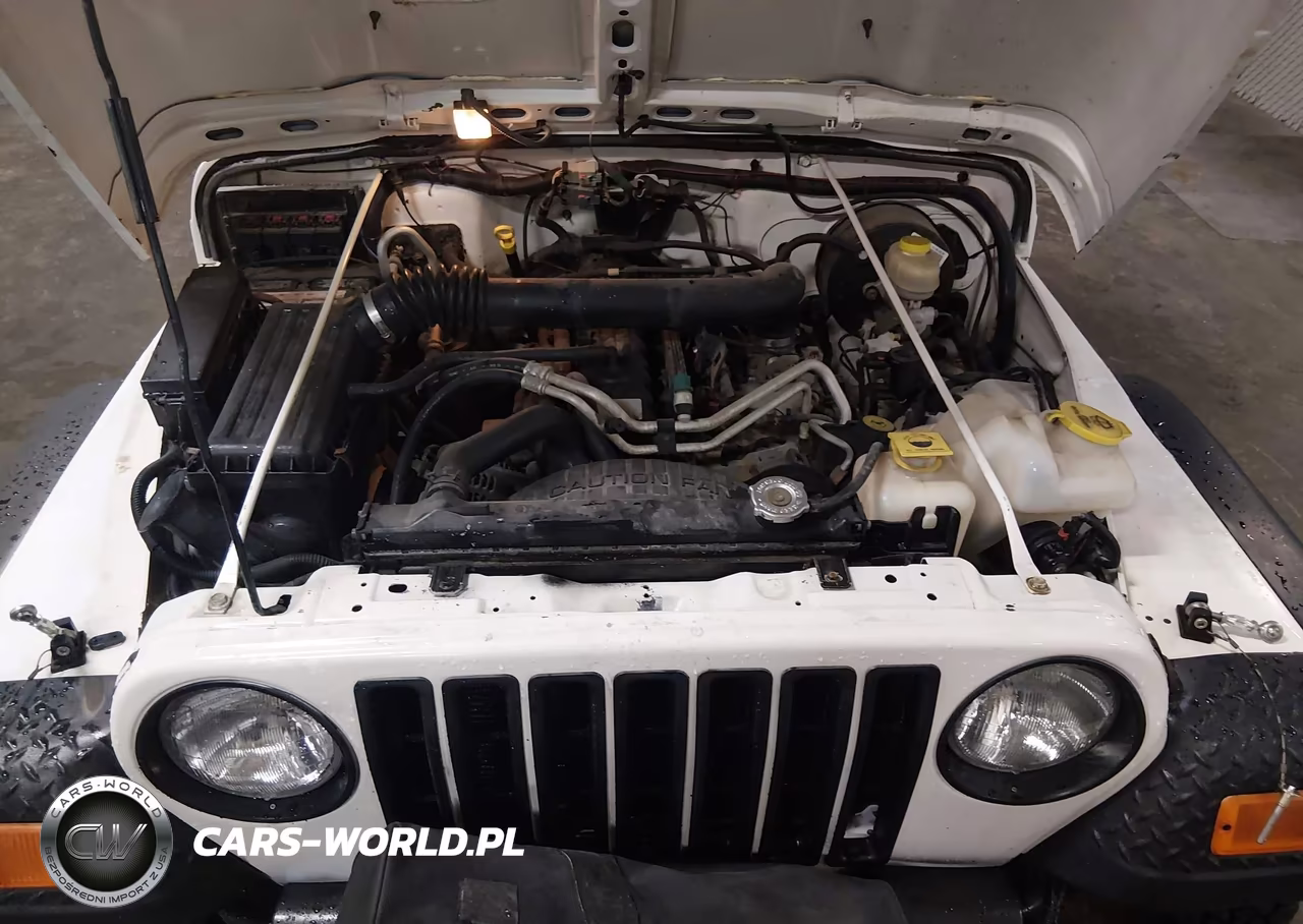 2006 Jeep Wrangler Rubicon VIN:1J4FA69S96P700608 - 10