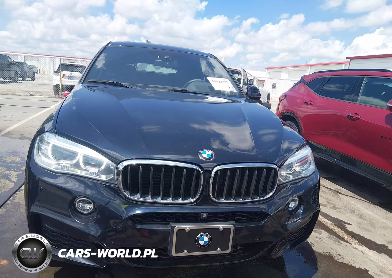 2018 BMW X6 xDrive35I VIN:5UXKU2C50J0X51583 - 13