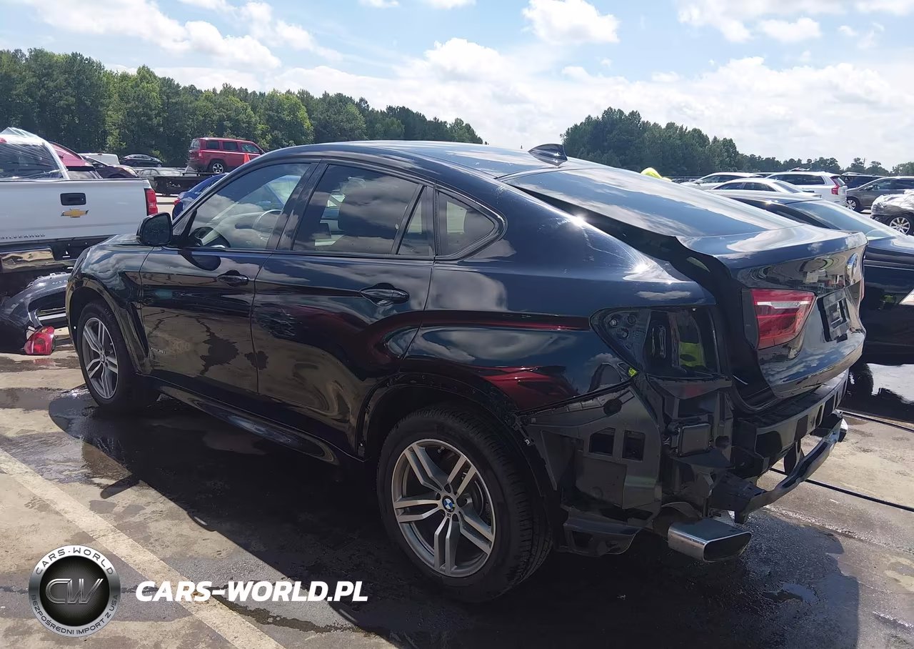 2018 BMW X6 xDrive35I VIN:5UXKU2C50J0X51583 - 3