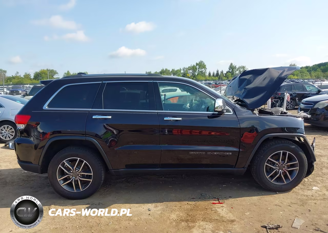 2019 Jeep Grand Cherokee Limited VIN:1C4RJFBG3KC665087 - 13