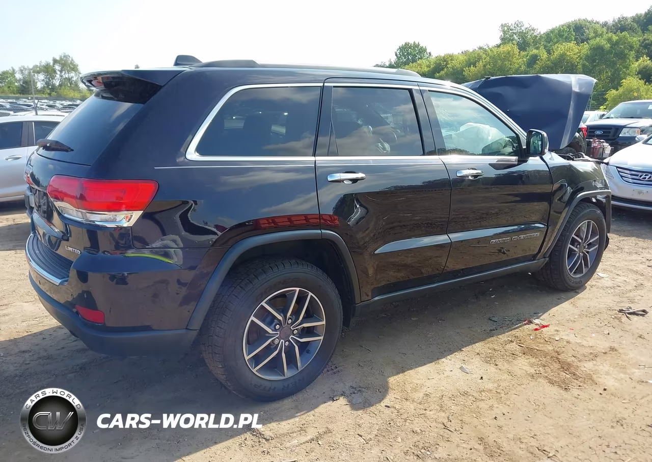 2019 Jeep Grand Cherokee Limited VIN:1C4RJFBG3KC665087 - 4