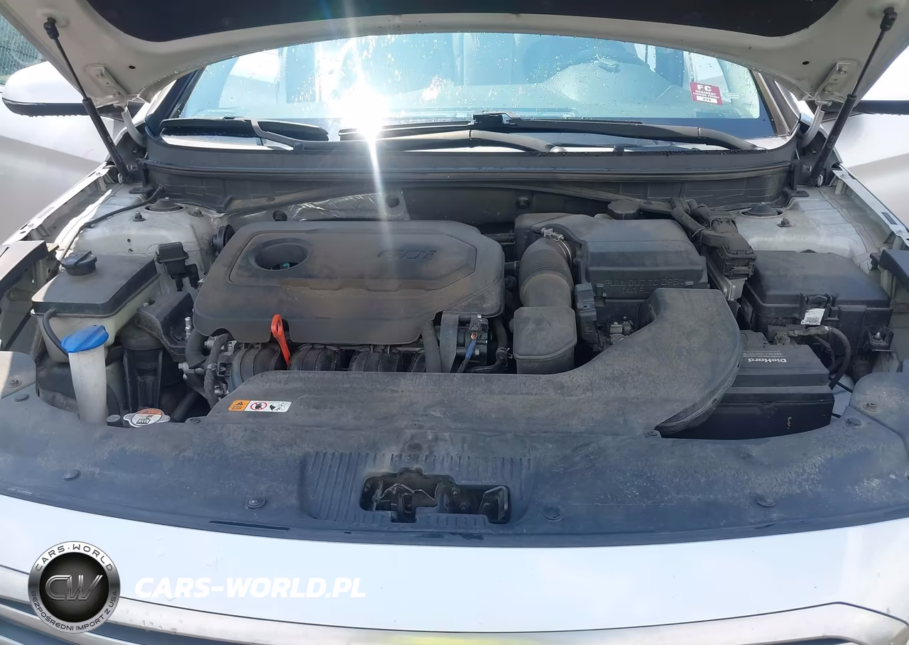 2016 Hyundai Sonata VIN:5NPE24AFXGH405659 - 10