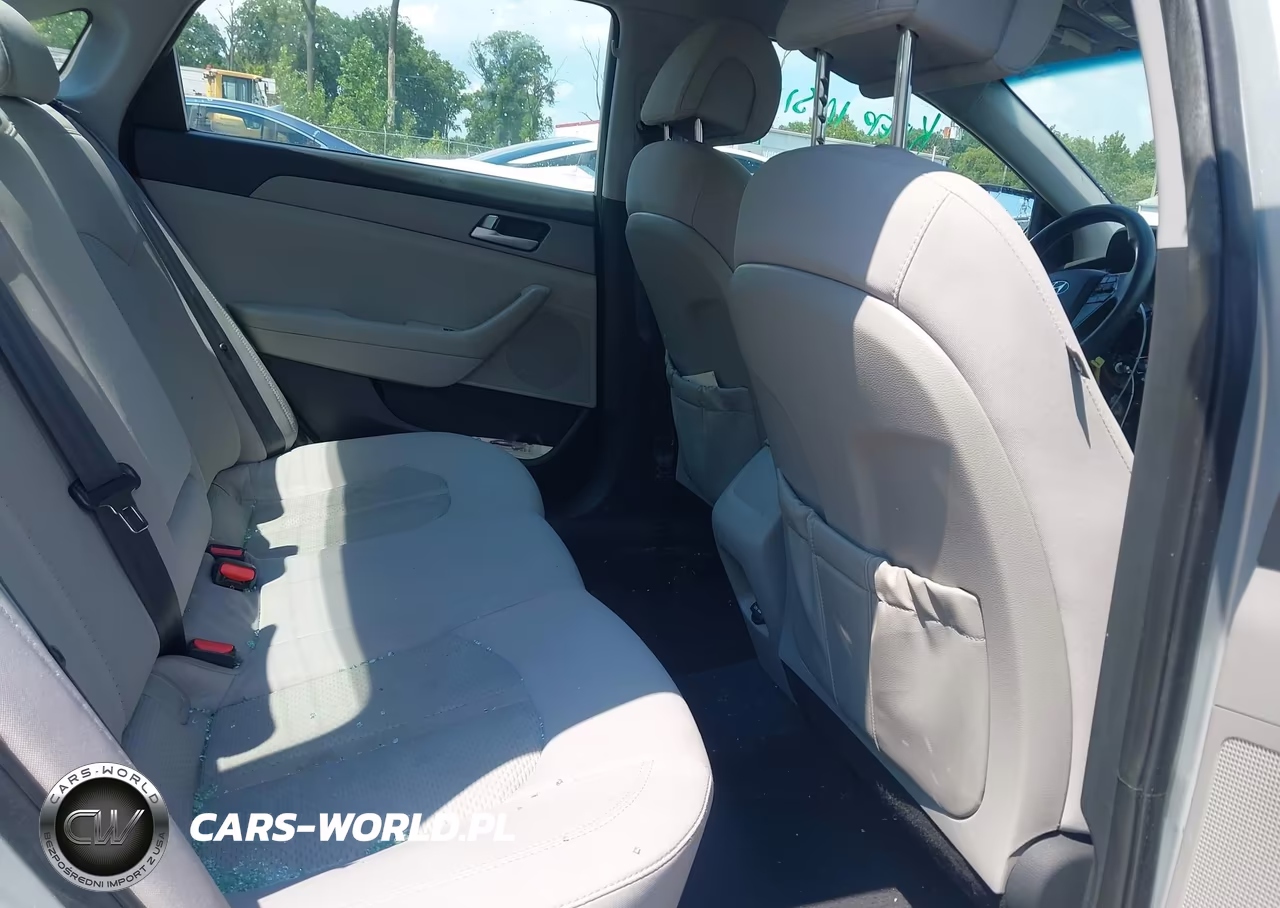 2016 Hyundai Sonata VIN:5NPE24AFXGH405659 - 8