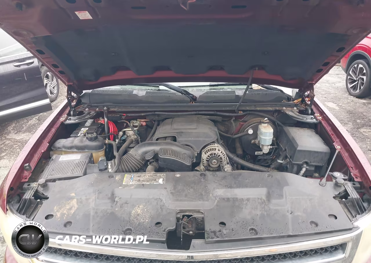 2009 Chevrolet Silverado 1500 Ls VIN:1GCEC19CX9Z222649 - 10