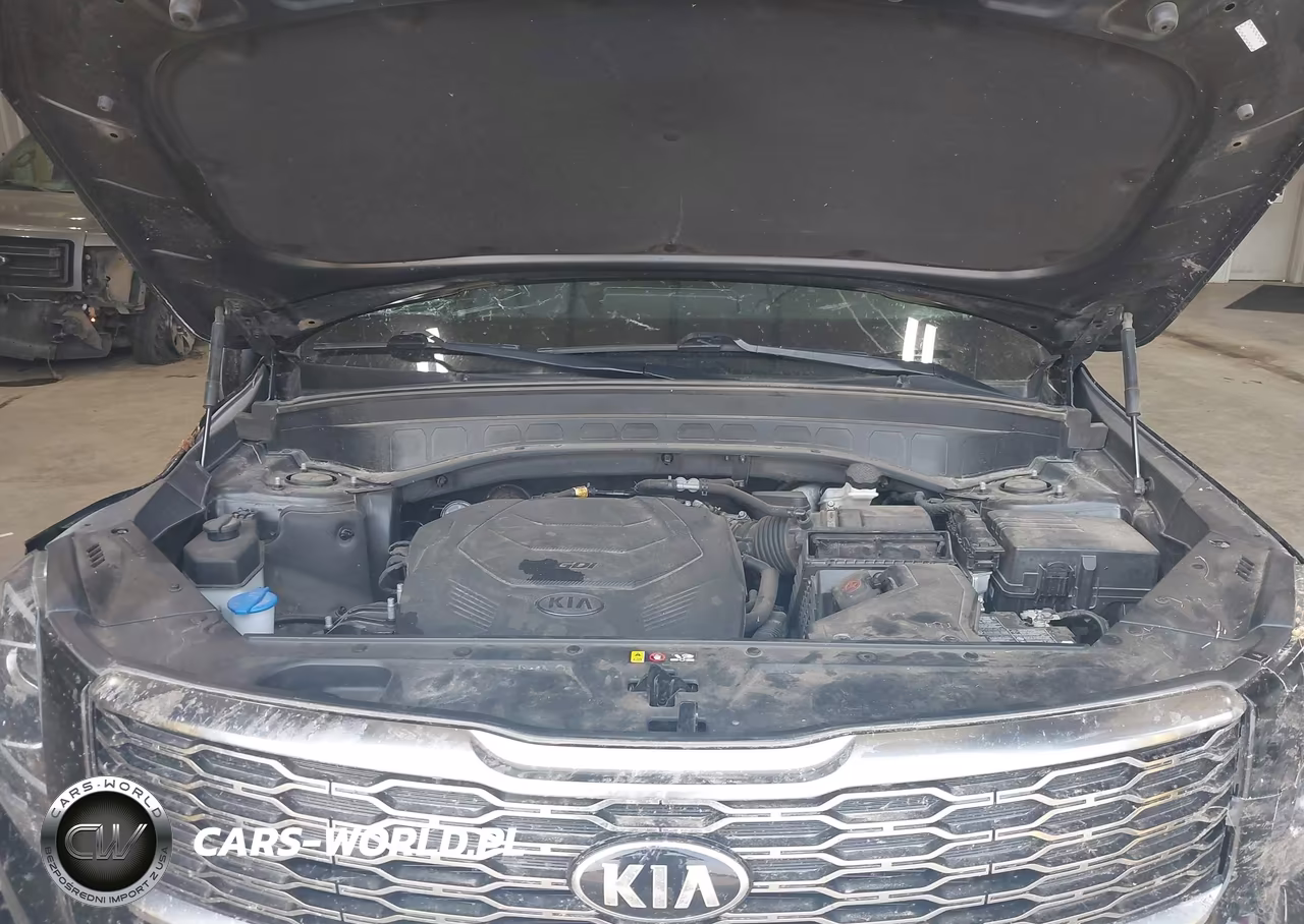 2020 Kia Telluride Ex VIN:5XYP3DHC5LG094743 - 10