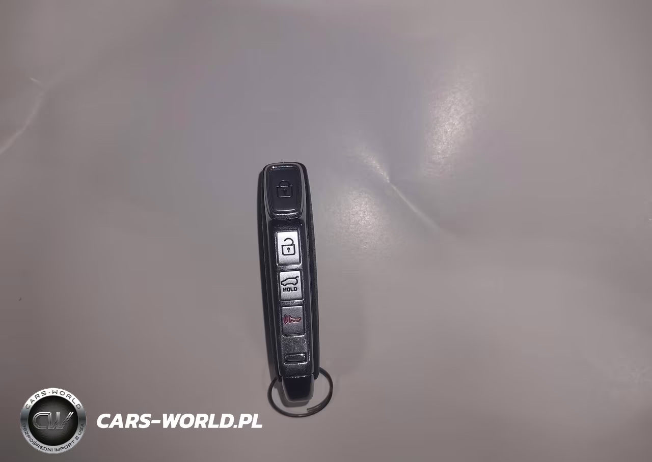 2020 Kia Telluride Ex VIN:5XYP3DHC5LG094743 - 11