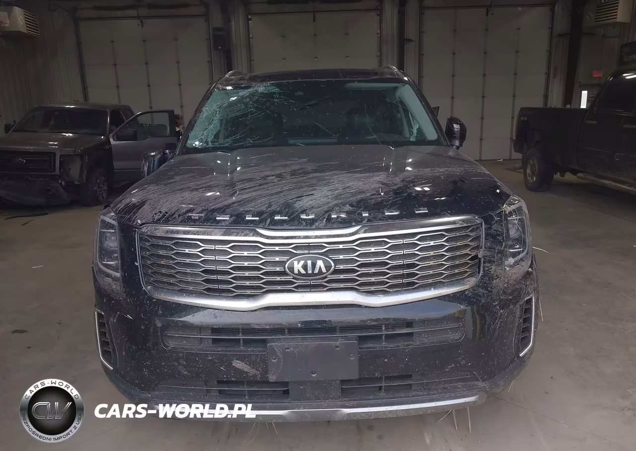 2020 Kia Telluride Ex VIN:5XYP3DHC5LG094743 - 12