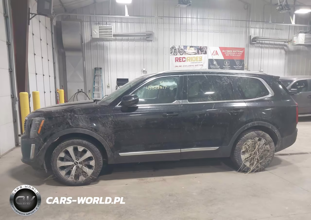 2020 Kia Telluride Ex VIN:5XYP3DHC5LG094743 - 14
