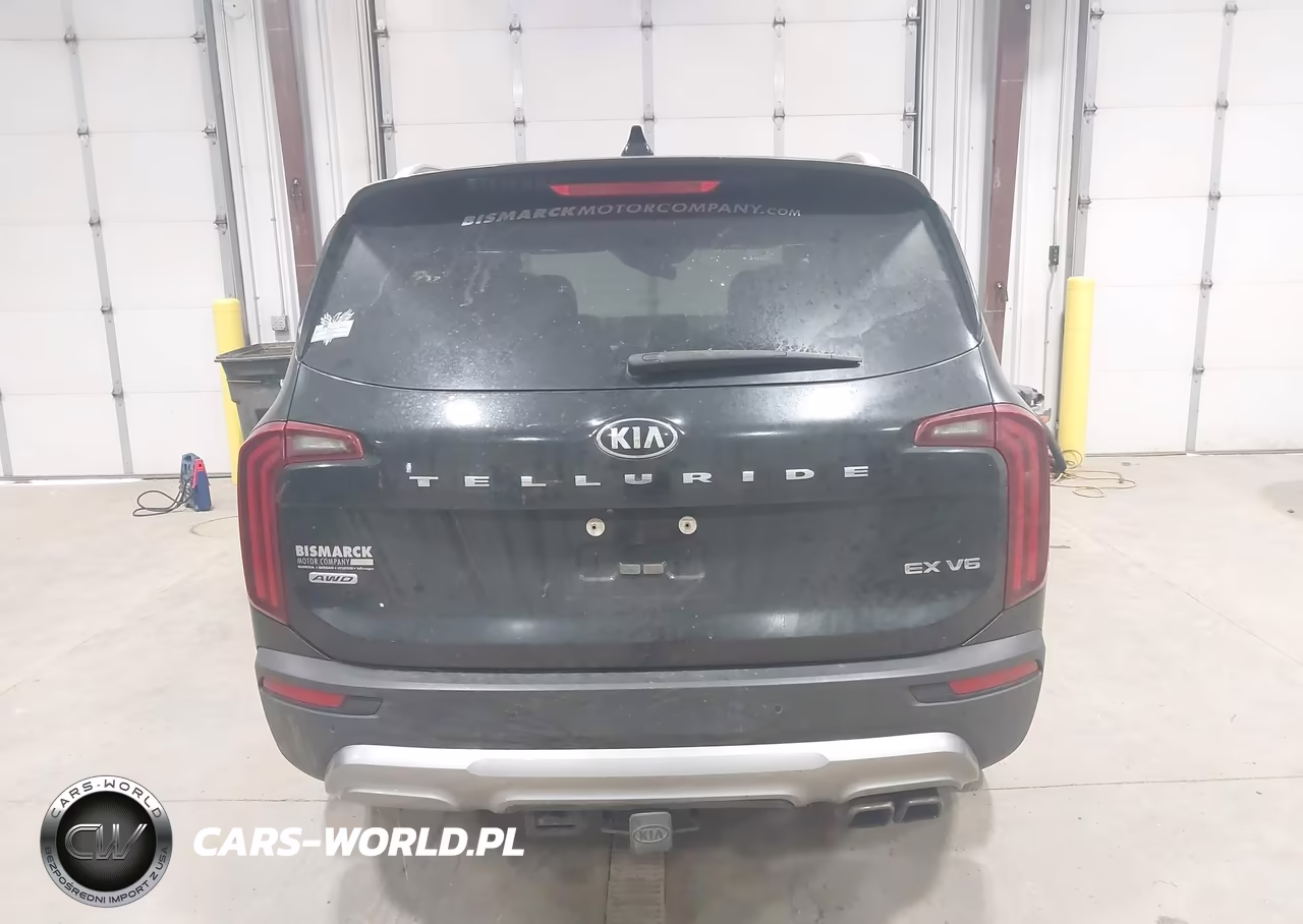 2020 Kia Telluride Ex VIN:5XYP3DHC5LG094743 - 16