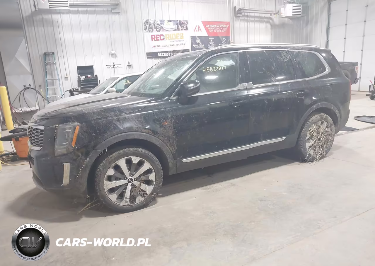 2020 Kia Telluride Ex VIN:5XYP3DHC5LG094743 - 2