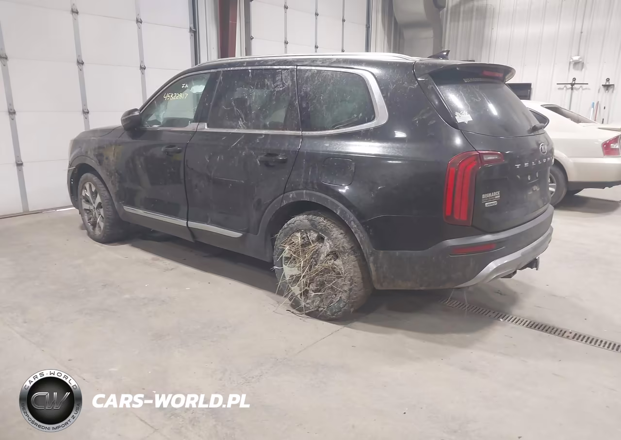 2020 Kia Telluride Ex VIN:5XYP3DHC5LG094743 - 3