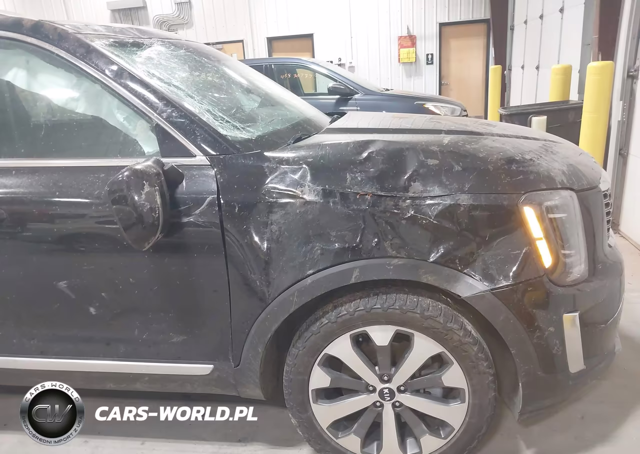 2020 Kia Telluride Ex VIN:5XYP3DHC5LG094743 - 6
