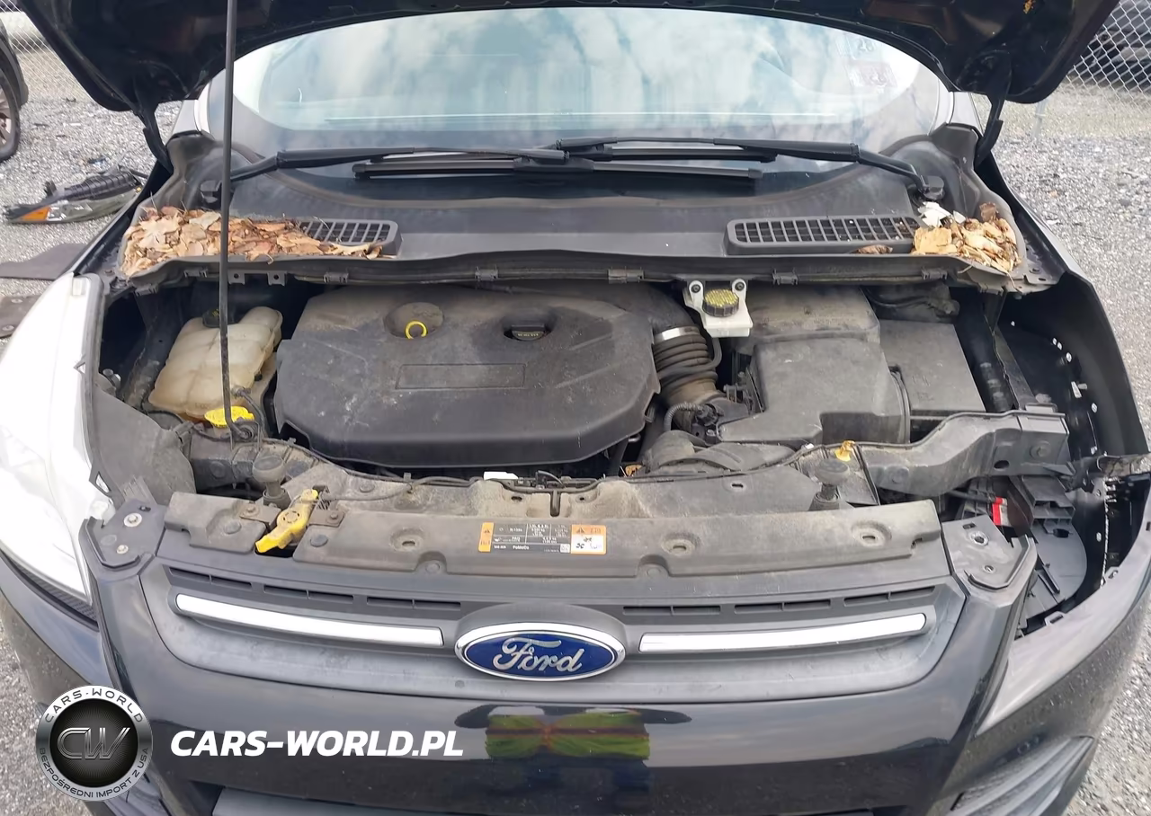 2015 Ford Escape Se VIN:1FMCU9G98FUA18365 - 10