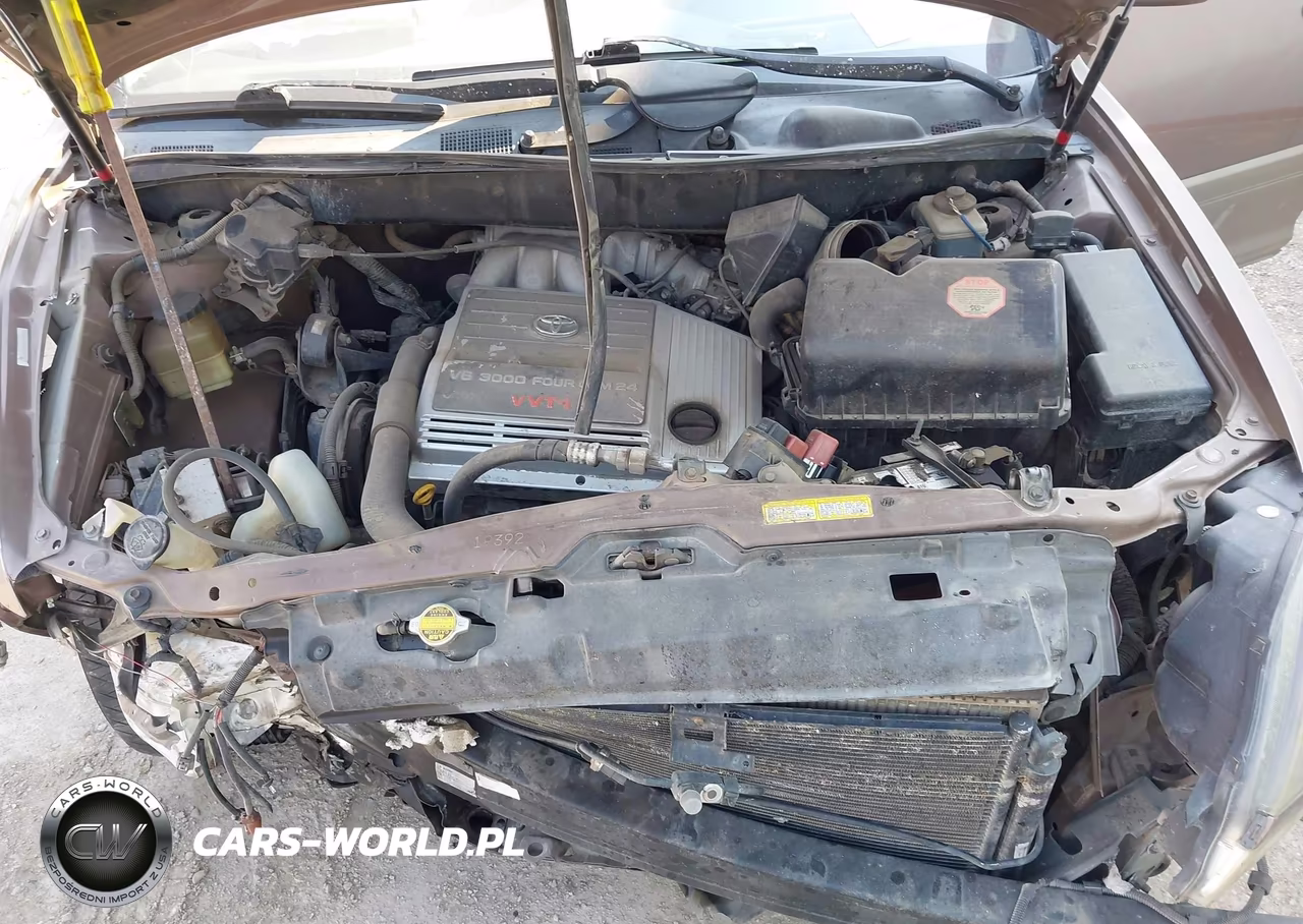 1999 Lexus Rx 300 VIN:JT6HF10U7X0090341 - 10