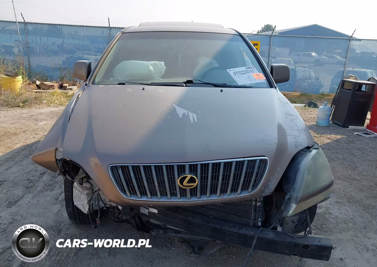 1999 Lexus Rx 300 VIN:JT6HF10U7X0090341 - 13