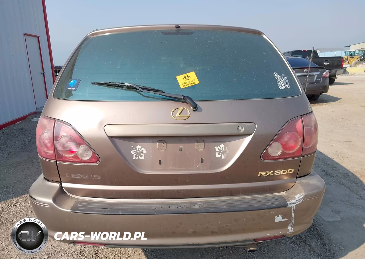 1999 Lexus Rx 300 VIN:JT6HF10U7X0090341 - 17