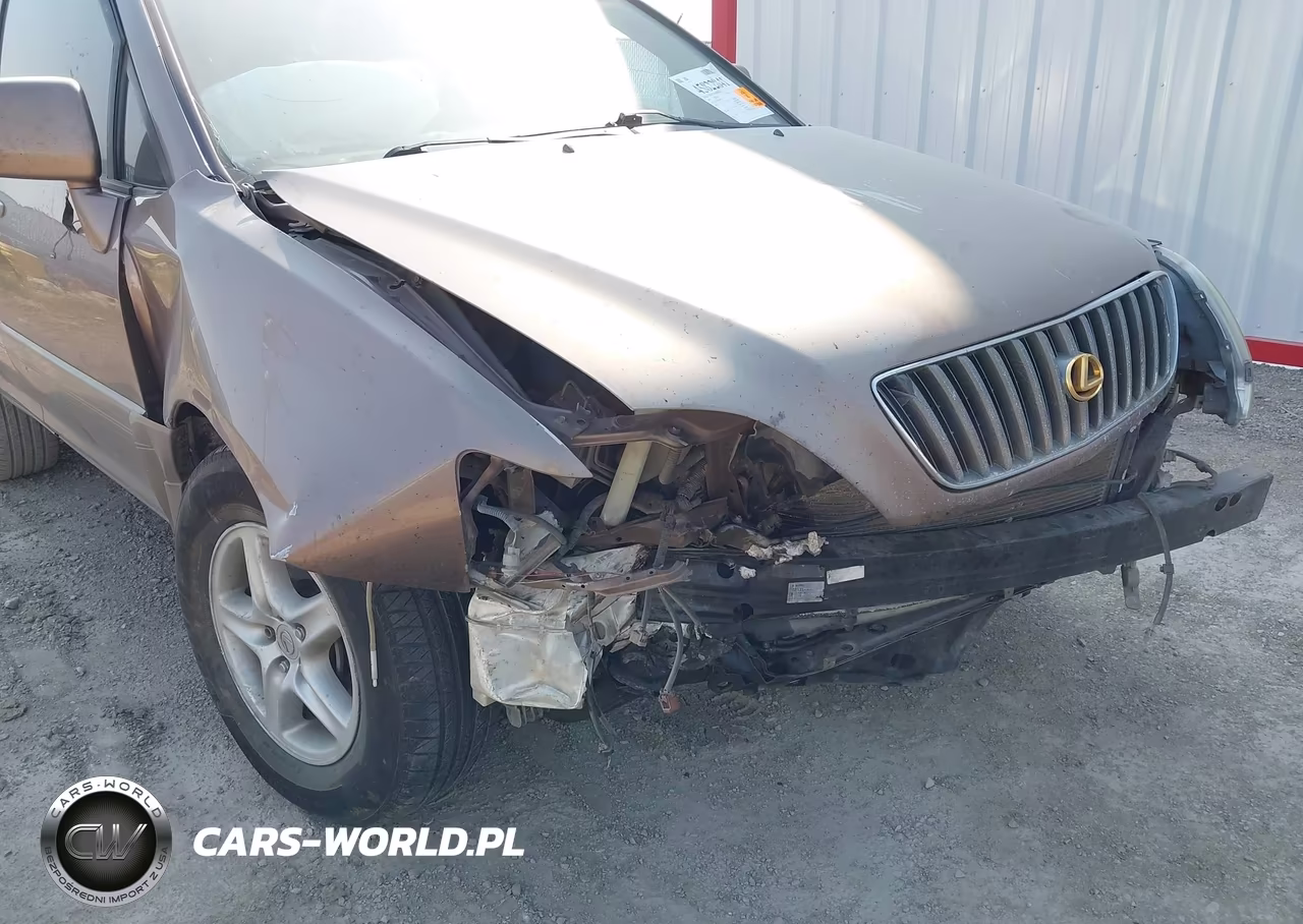 1999 Lexus Rx 300 VIN:JT6HF10U7X0090341 - 6