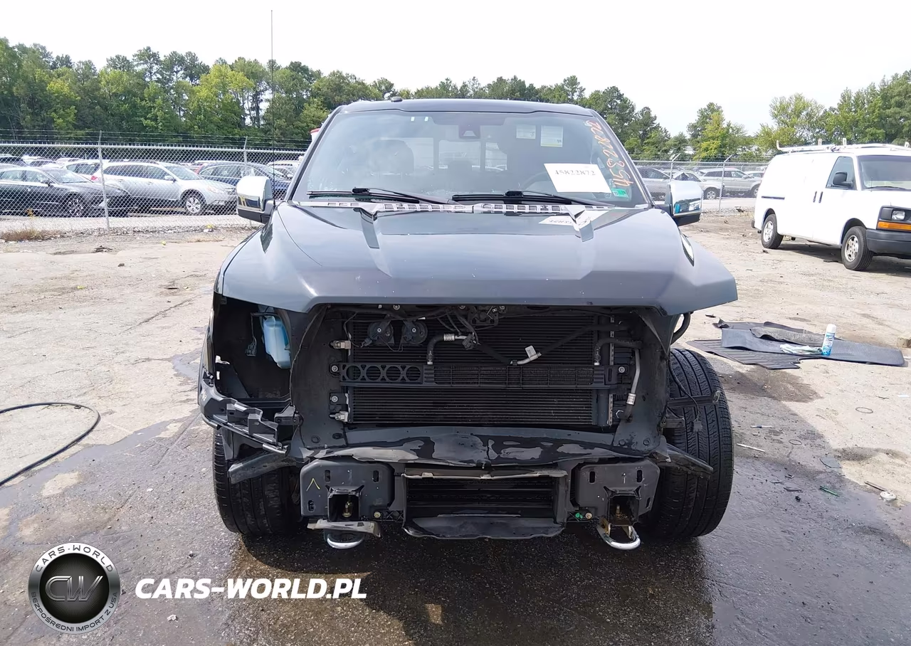 2016 Ford F-150 Platinum VIN:1FTEW1EG7GFD14011 - 13