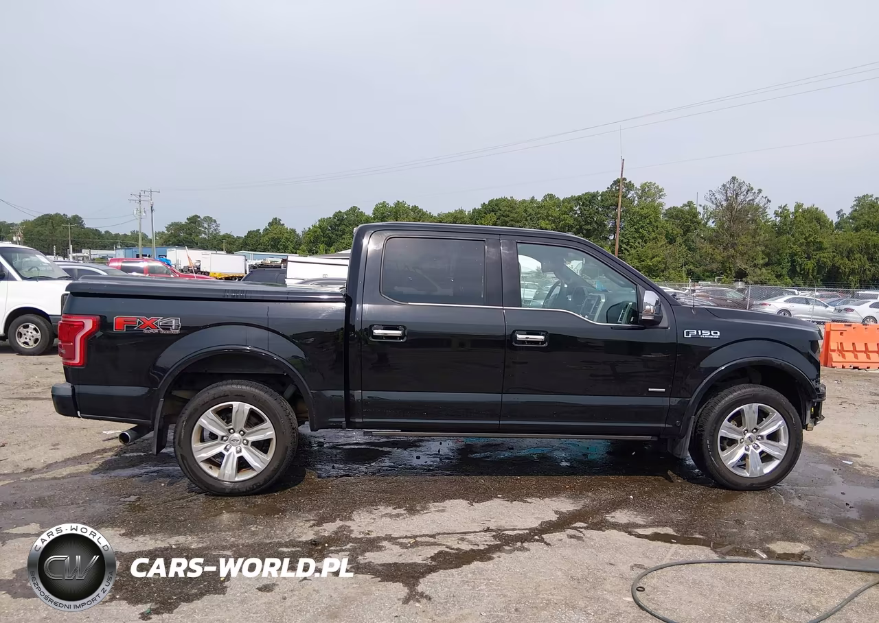2016 Ford F-150 Platinum VIN:1FTEW1EG7GFD14011 - 14