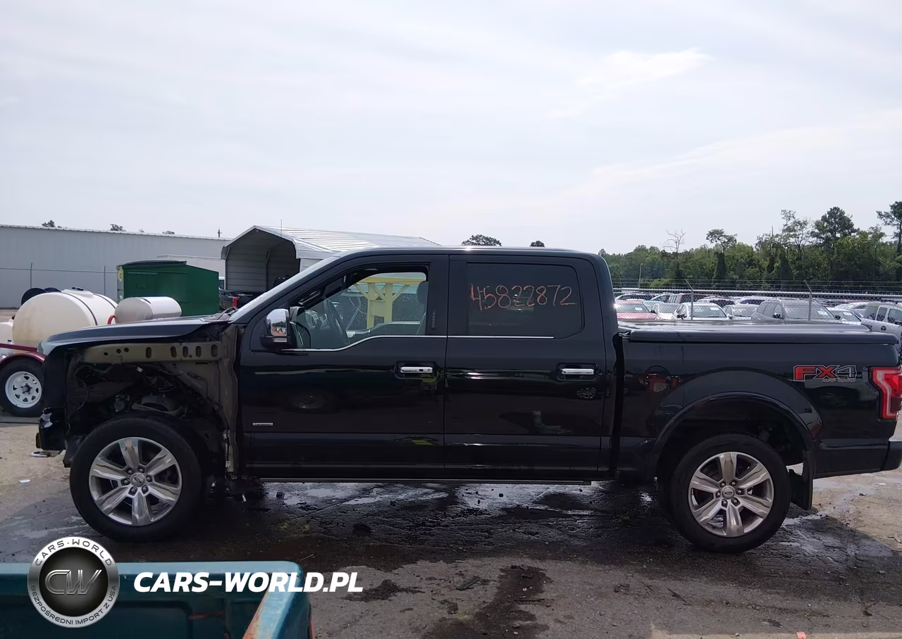 2016 Ford F-150 Platinum VIN:1FTEW1EG7GFD14011 - 15