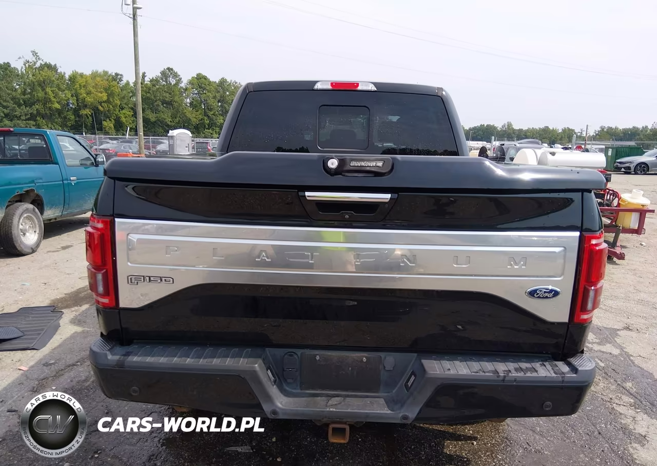 2016 Ford F-150 Platinum VIN:1FTEW1EG7GFD14011 - 17