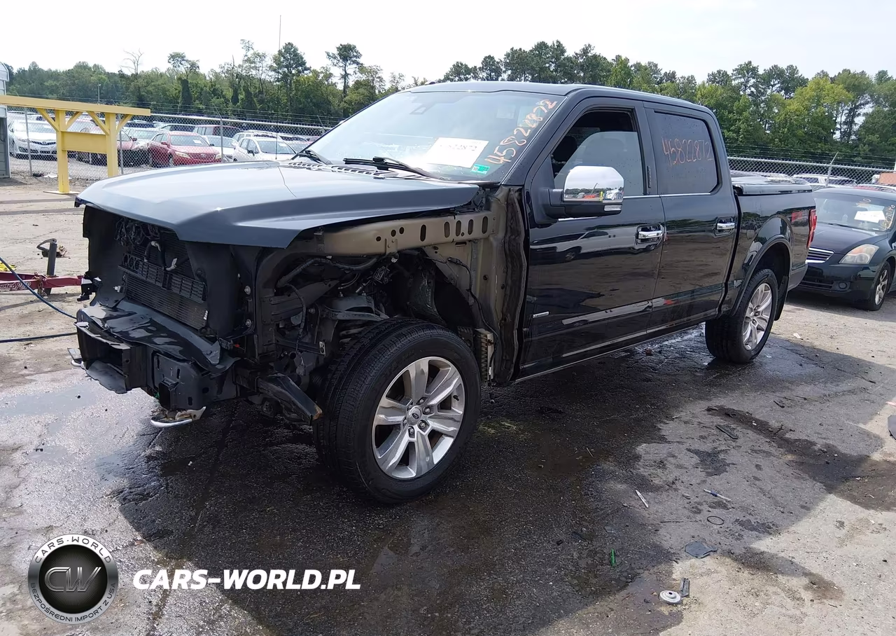 2016 Ford F-150 Platinum VIN:1FTEW1EG7GFD14011 - 2